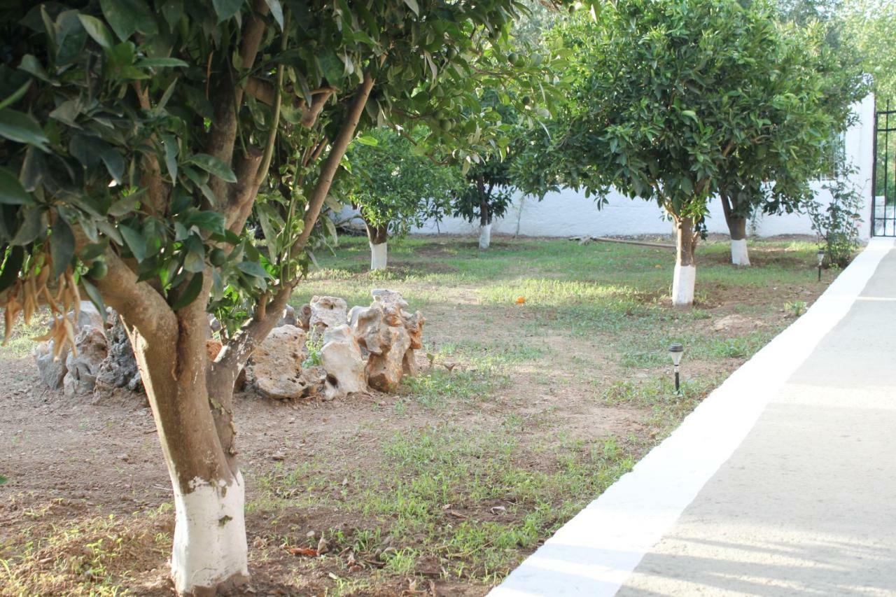 Elias Maro House Villa Avdú Kültér fotó